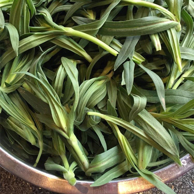 四季播种春秋高产蔬菜农家特色野外野菜种子面条菜荠菜婆婆丁菜籽