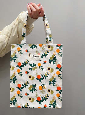 韩国进口DAMS文艺小清新牛油果防水便当手提包袋妈咪包大容量新品