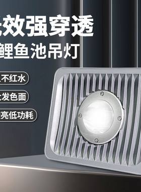 马卬鱼池灯户外室外鱼缸锦鲤鱼池灯专用射灯全光谱庭院防雨LED