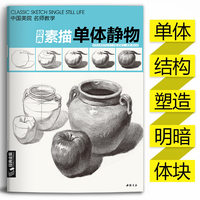 經(jīng)典全集 素描單體靜物 單個(gè)臨摹范本書籍 素描靜物結(jié)構(gòu)入門繪畫美術(shù)教材臨本陶罐蘋果高考聯(lián)考畫畫教程 楊建飛主編