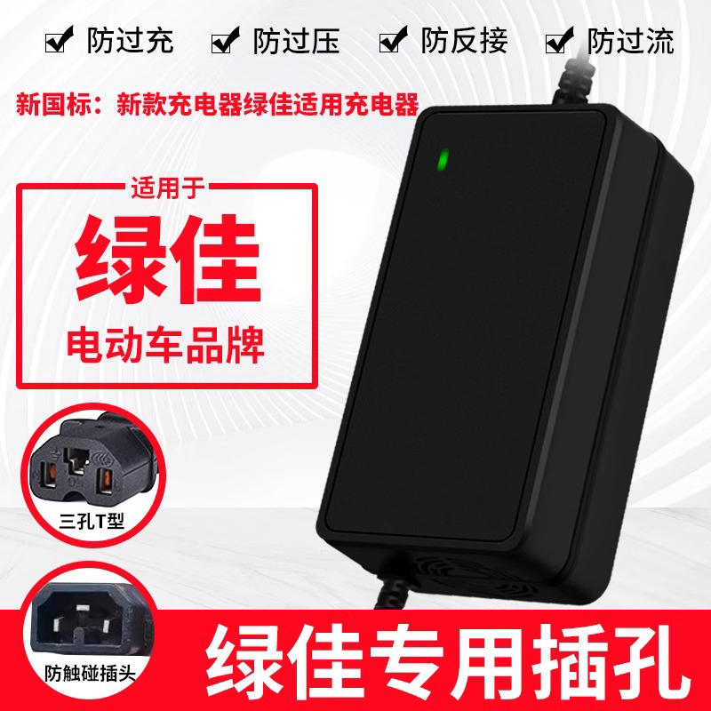 适用绿佳正品原厂两轮电动电瓶车充电器48v12ah60V20A72v20a通用