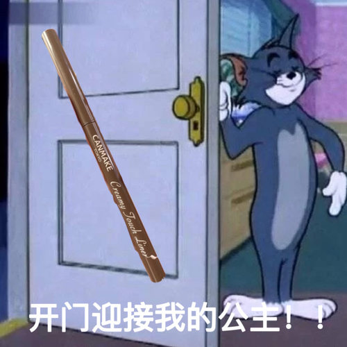 砍妹canmake染防水眼线胶笔