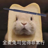 AMORTALS尔木萄流星极细眉笔防水防汗不晕染顺滑持久用多少转多少