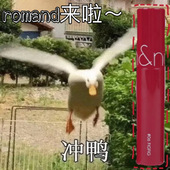 韩女爱用 romand镜面哑光果汁唇釉天使光唇蜜显白纯欲超嫩有防伪