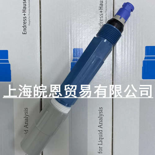 原装CPF81D-7NN21 CPF81D-7NN31德国E+H分析仪表PH电极恩德斯豪斯