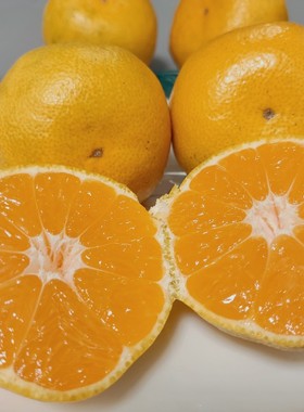 顺丰包邮湖南石门柑橘早熟蜜桔现摘新鲜蜜橘孕妇水果早熟蜜橘顺丰