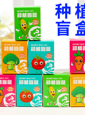 夜市地摊热卖种植盲盒