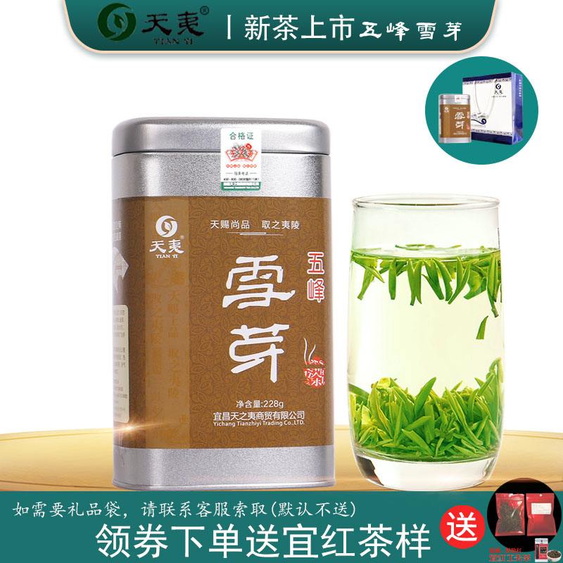 含芽率99%五峰雪芽湖北宜昌绿茶