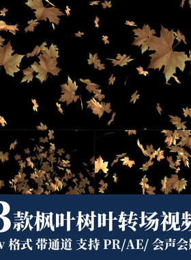 pr视频素材黄色枫叶树叶转场过渡mov动画alpha透明通道ae剪辑合成