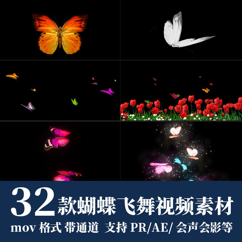 蝴蝶飞舞动画效果pr视频素材mov透明通道ae动态合成元素视频素材