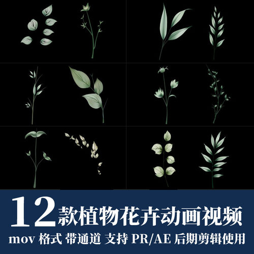 pr视频素材手绘植物花卉生长mov动画alpha透明通道ae后期剪辑合成
