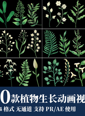 pr/ae视频素材唯美清新绿色花卉植物生长遮罩动画电脑端后期剪辑
