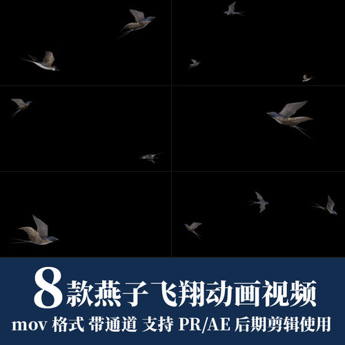 pr视频素材小鸟燕子飞翔飞行mov动画alpha透明通道ae后期剪辑合成