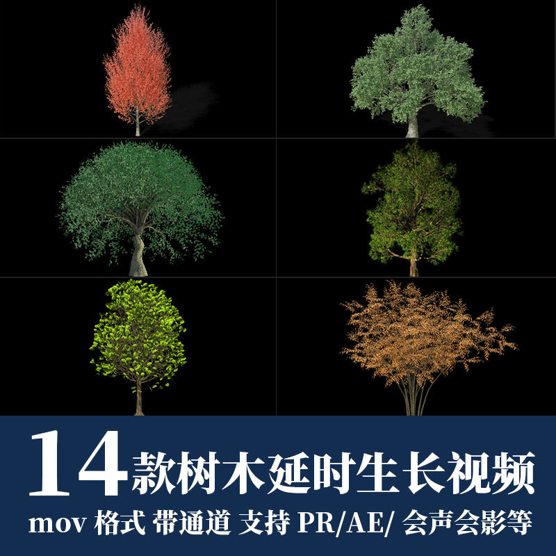 pr/ae视频素材绿叶树叶树木大树生长延时效果fcpx动画mov透明通道