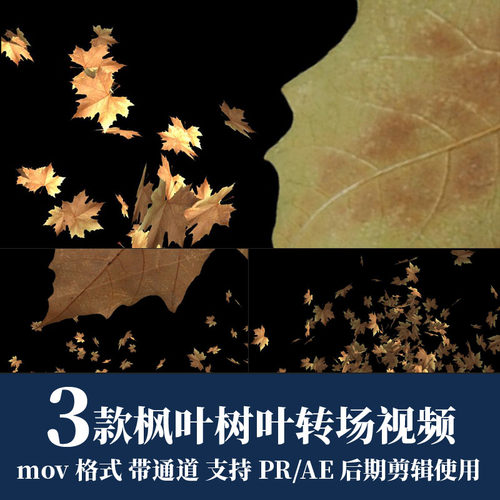 pr视频素材秋季黄色枫叶树叶转场mov动画alpha透明通道ae剪辑合成