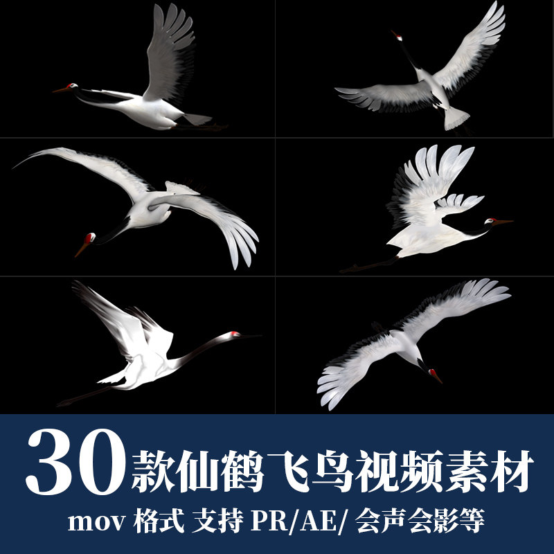pr/ae视频素材白色仙鹤飞鹤小鸟白鸽飞舞动态效果动画mov透明通道