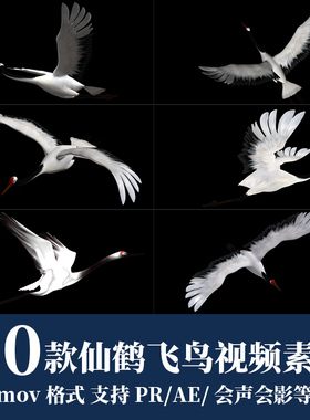 pr/ae视频素材白色仙鹤飞鹤小鸟白鸽飞舞动态效果动画mov透明通道