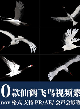 pr/ae视频素材白色仙鹤飞鹤小鸟白鸽飞舞动态效果动画mov透明通道