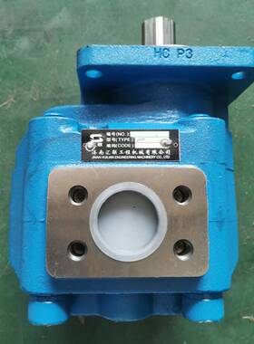 山推SL50装载机转向泵 齿轮泵1452-76-07000 JHPA3100 铲车配件