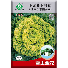 中蔬中国农科院种子蔬菜种子四季菜籽中蔬雪里金花乌塌菜种子10克