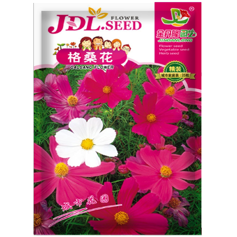 波斯菊种子格桑花种子易活小花易活花籽庭院花种孑四季花籽花种
