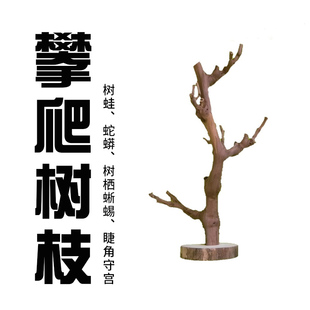 天然实木树栖攀爬树枝睫角守宫树蛙蛇蟒攀爬雨林造景支架鹦鹉站杆
