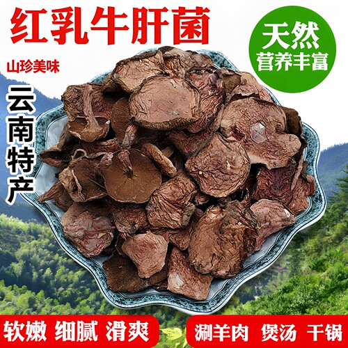 云南野生菌红乳牛肝菌蘑菇野山菌