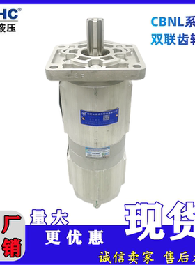 合肥长源液压双联齿轮油泵中联环卫车油泵CBNL-F563/F520-BFHL