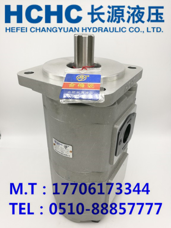 HCHC合肥长源齿轮油泵CBGLM-2040/2032-BFH，柳工专用泵正品现货