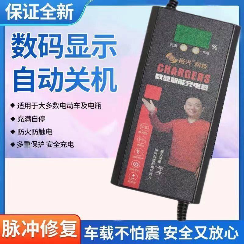 万顺配件城电动车六灯裕兴充电器自动断电快充雅迪新日爱玛48v60,电动车/配件/交通工具,电动车充电器,淘宝优惠券,粉丝福利购,淘宝优惠卷