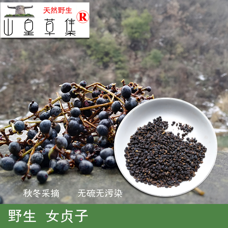 神农架高山 野生女贞子 霜打采摘黑皮冬青子茶有旱莲草250克包邮