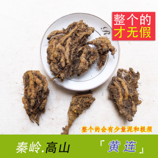 神农架 高山黄莲100克药材鸡脚爪莲姜连个子无假无硫可磨粉 包邮