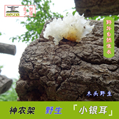 包邮 炎农之恋 神农架野生银耳250克干货农家雪耳糯小朵白木耳无硫