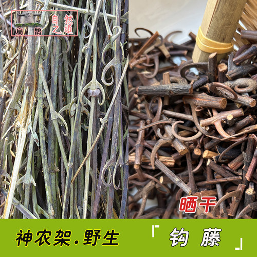 野生钩藤湖北神农架勾藤