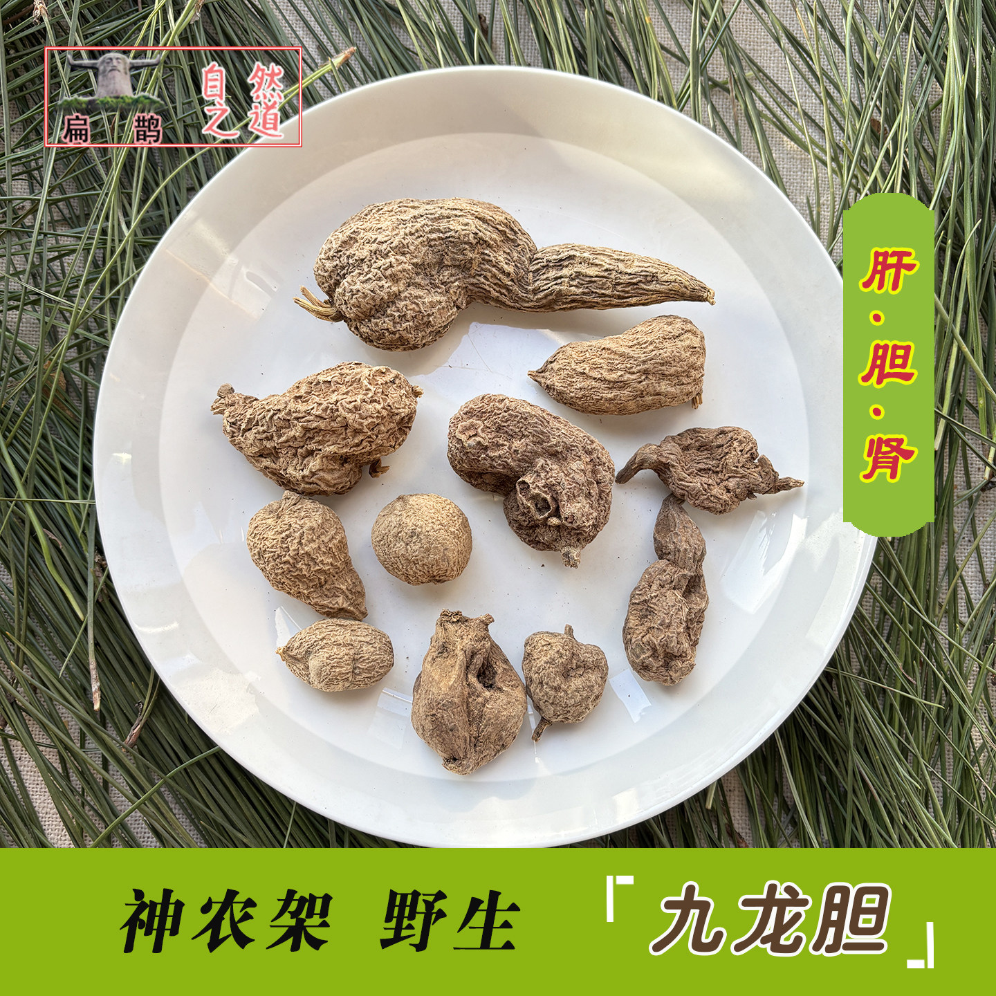 神农架 野生破石珠 干 100克九龙胆金牛胆地苦胆石缝肝胆石 包邮