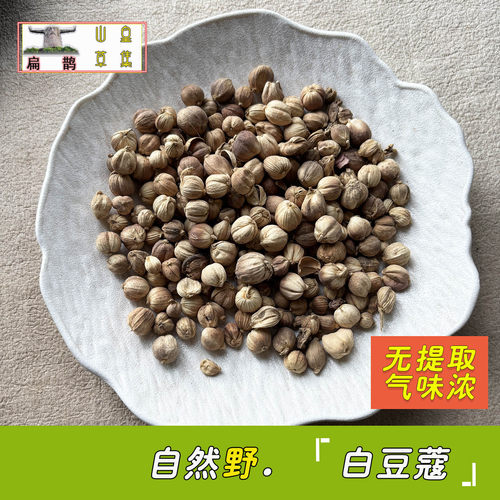 白豆蔻野生药材湿气脾