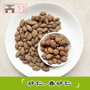 砂仁 香砂仁有春砂仁可打砂仁粉炖汤香料无掺假药材带壳100克包邮