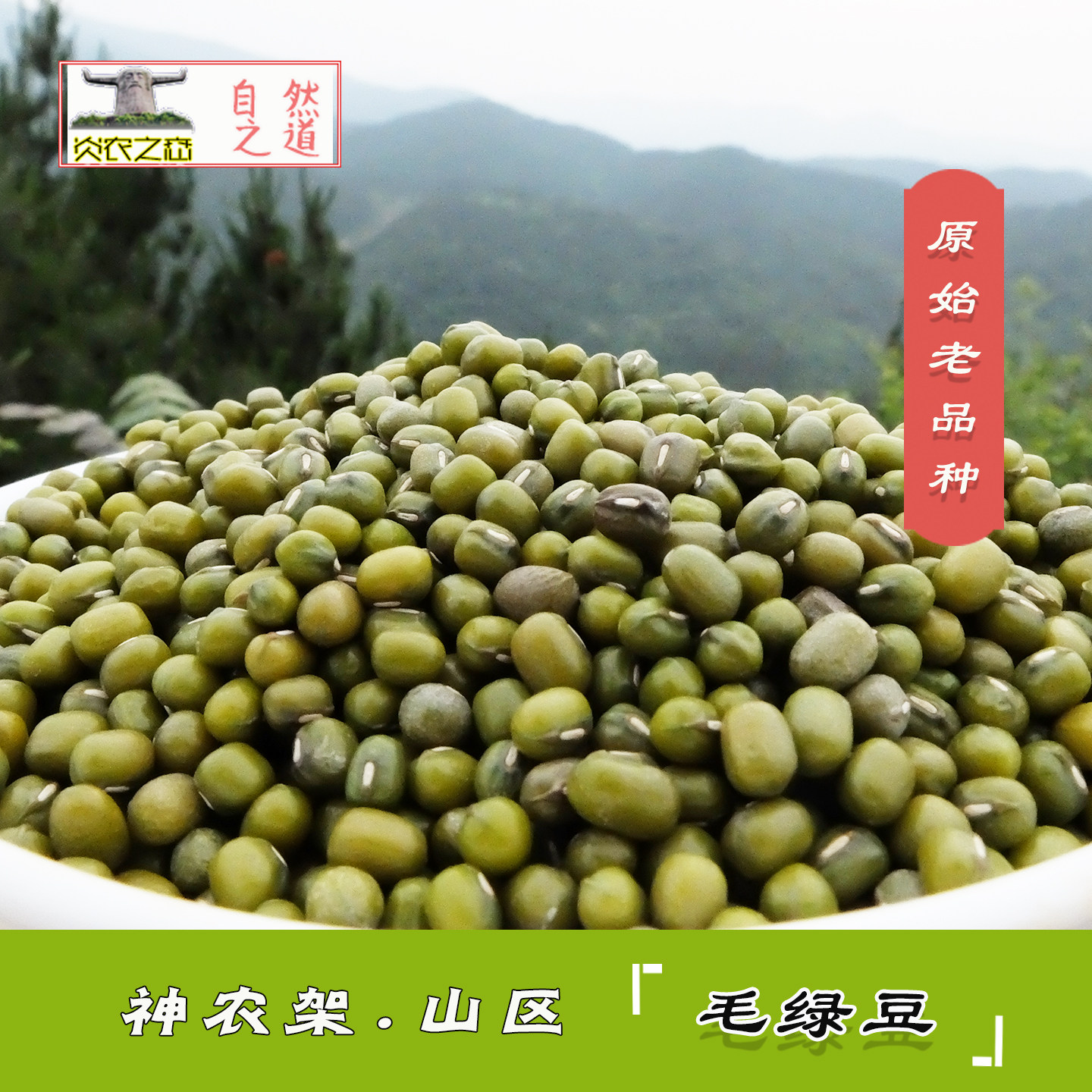 神农架山区农家毛绿豆 老品种无抛光自种小笨绿豆汤500克 2件包邮