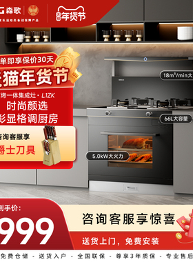 Seng/森歌 L1ZK海豚系列蒸烤集成灶家用一体灶大火力单向排烟