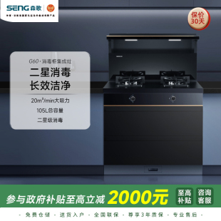 G60集成灶一体灶侧吸式 JJZT 油烟机燃气灶灶具消毒柜 森歌 Seng