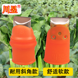 川昱不锈钢软胶斜角采摘神器菜心蔬红菜苔豆角菜农场拇指刀手指套