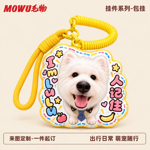 来图定制宠物猫狗公仔玩偶包挂件