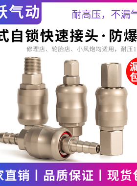 气泵C式自锁快速接头高压小风炮公母快接SH20软管30 气动工具SP20