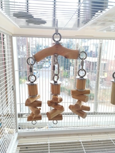 中大型鹦鹉啃咬玩具304不锈钢鹦鹉玩具耐啃耐咬鹦鹉玩具解闷玩具,宠物/宠物食品及用品,秋千,淘宝优惠券,粉丝福利购,淘宝优惠卷