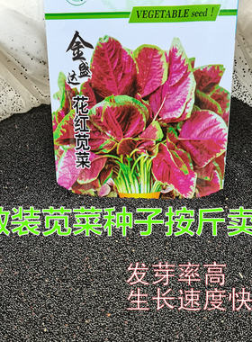 苋菜种子园叶野生农家四季野菜大田阳台汉菜种籽蔬菜种孑