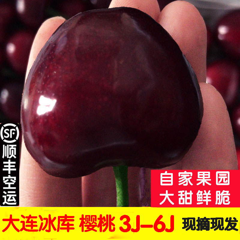 大連冰庫櫻桃6j俄8櫻桃5j車?yán)遄有迈r水果整箱4j超大果現(xiàn)摘順豐