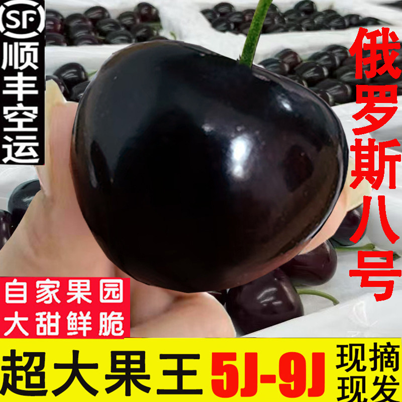 俄8大樱桃9j大连樱桃8j俄罗斯八号车厘子美早7j新鲜水果5斤礼盒
