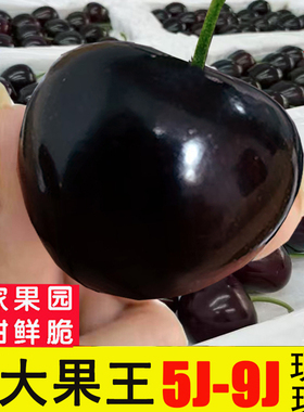 俄8大樱桃9j大连樱桃8j俄罗斯八号车厘子美早7j新鲜水果5斤礼盒