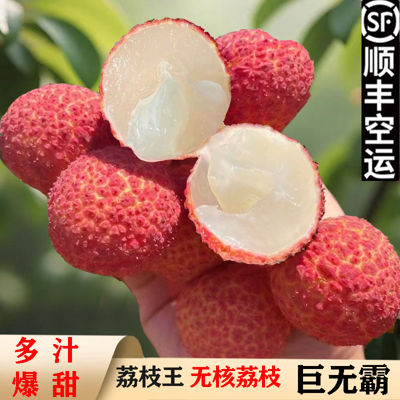海南荔枝王無核巨無霸荔枝新鮮水果3斤禮盒白滋現(xiàn)摘高端孕婦水果