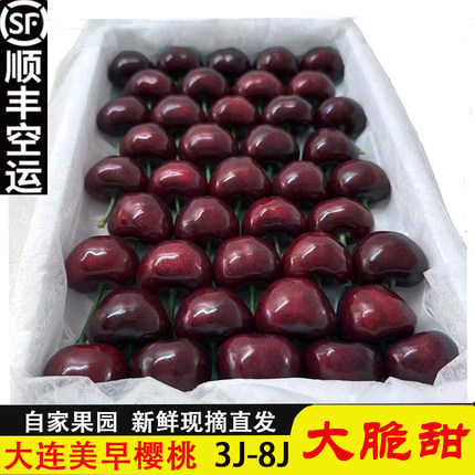 大连樱桃8j美早大樱桃7j新鲜水果当季车厘子6j礼盒果园发孕妇顺丰